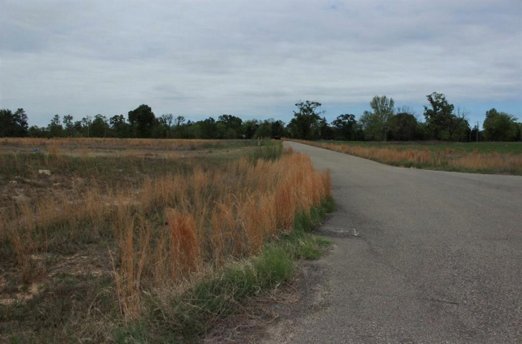 South Shore at Lake Bob Sandlin - Land