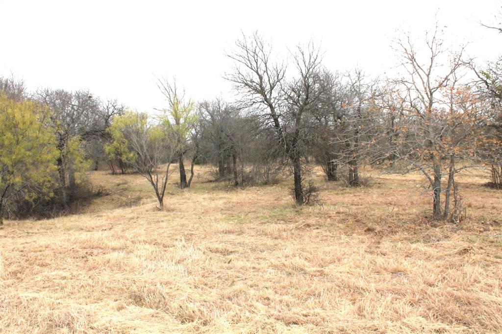 North Star Pointe - Land