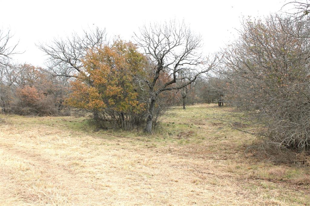 North Star Pointe - Land
