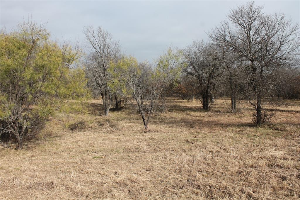 North Star Pointe - Land