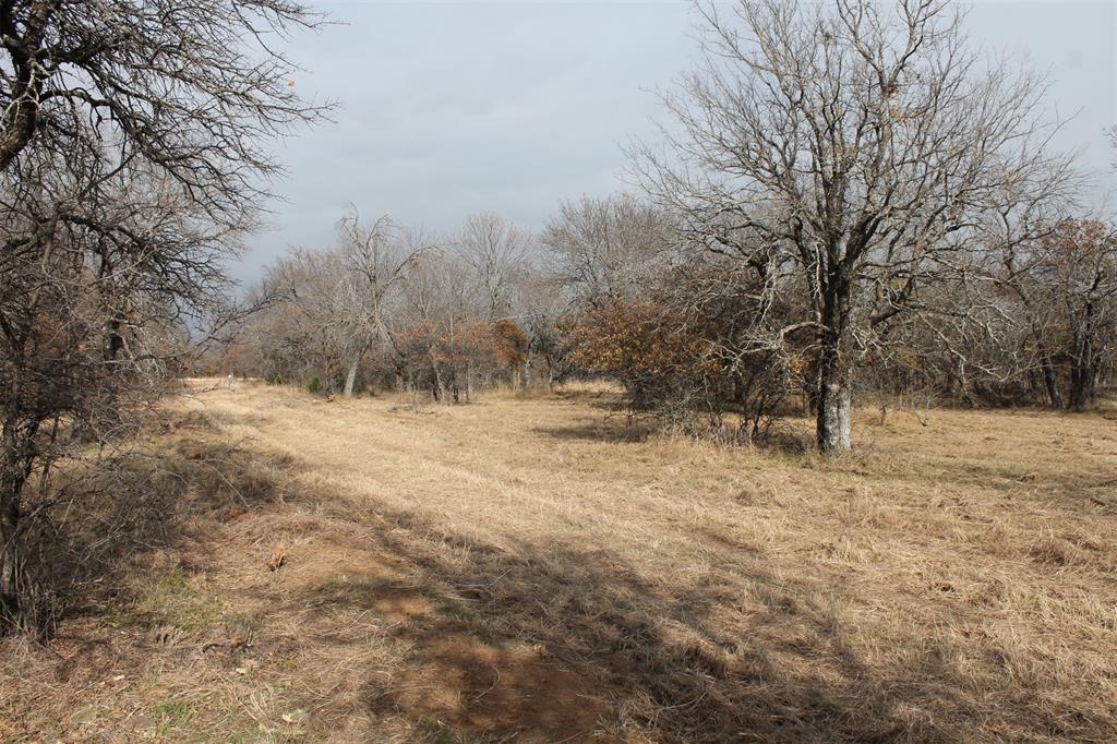 Beautiful interior lot with 1.6 acres within North Star Pointe on Lake Bridgeport. This is an upscale gated community, North Star Pointe. Lake Bridgeport, a 12,000 acre lake that is a first choice of boaters, skiers, fishermen, and other water sports. The community features its own private water system, paved streets, underground utilities, on one plus size acre lots. The community pool and boat ramp at North Star Pointe are available to all owners. Come enjoy the lake.