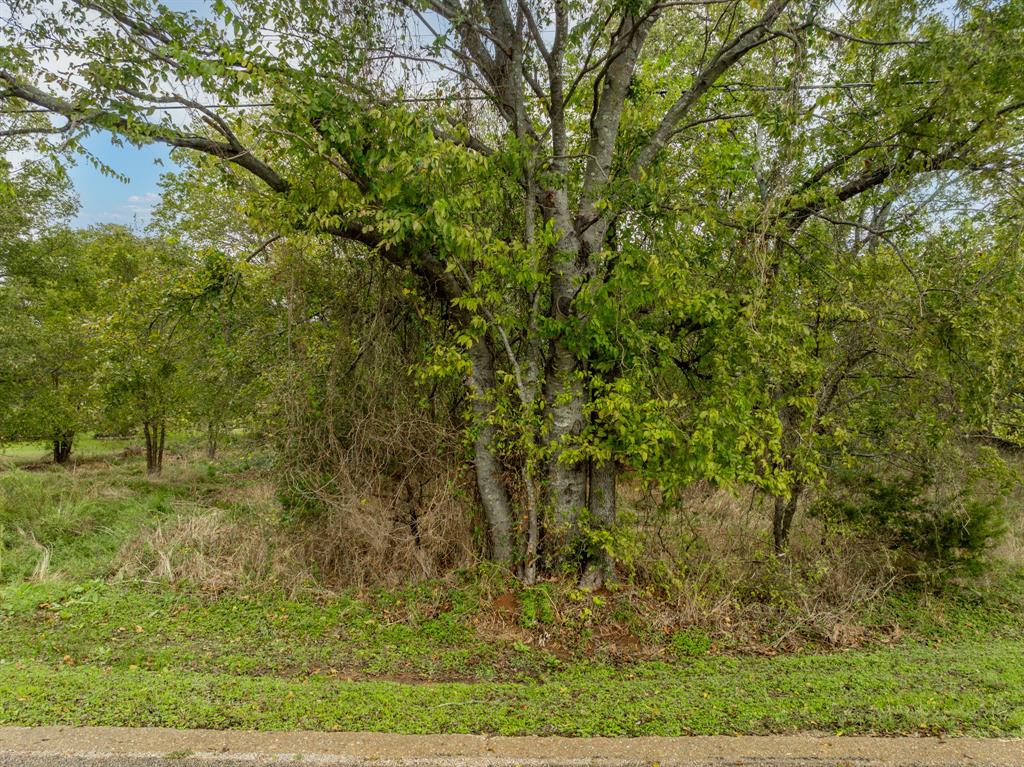 White Bluff #27 - Land