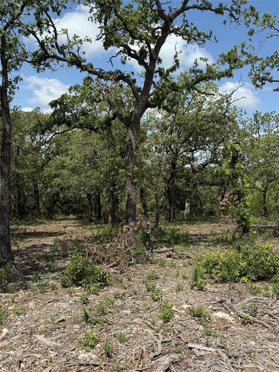 Red Oak Hills Sub - Land