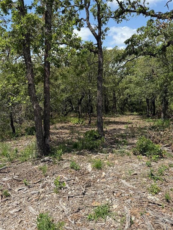 Red Oak Hills Sub - Land