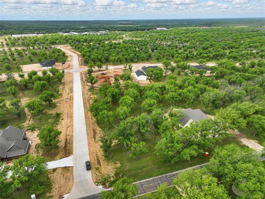 Pecan Plantation - Land