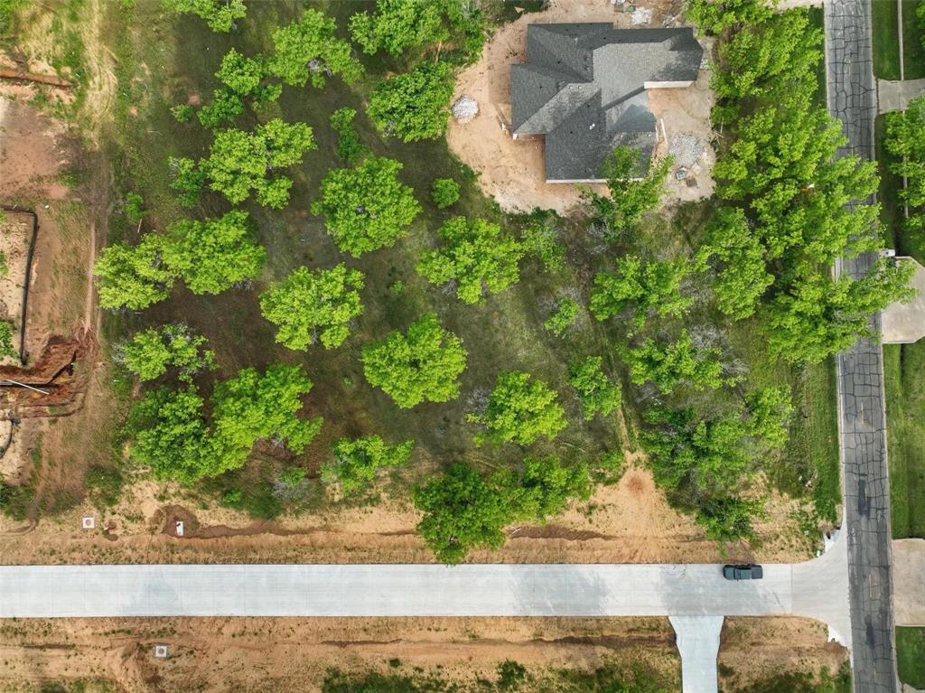 Pecan Plantation - Land