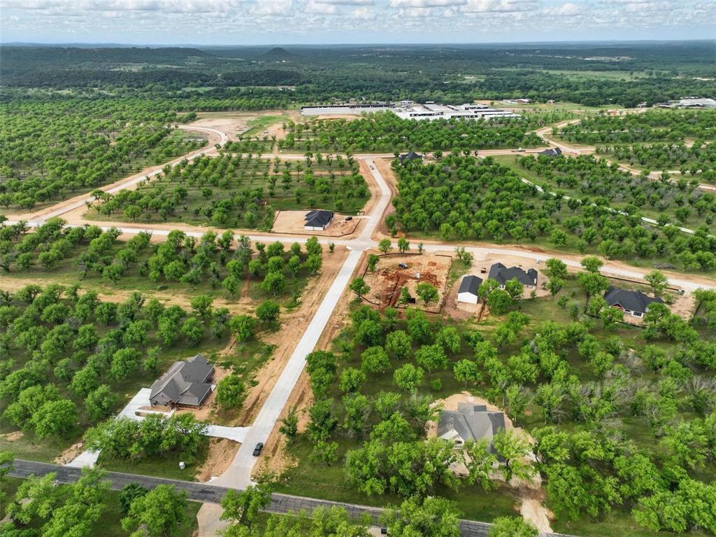 Pecan Plantation - Land
