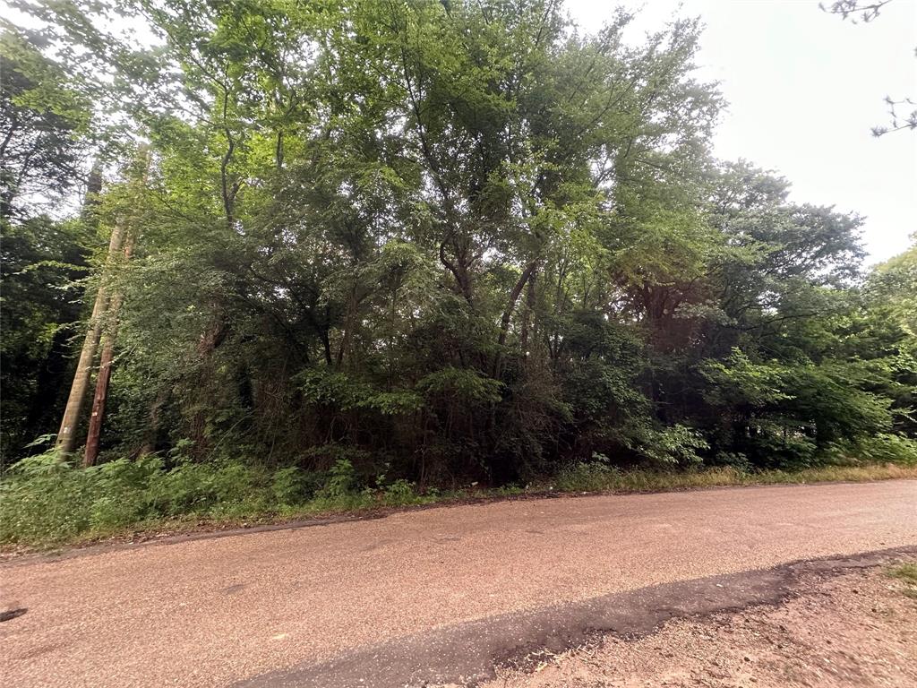 THIS LAND IS ALMOST 3 ACRES ON PRIVATE ROAD WITH LOTS OF TREES.
ALLOW TO PUT NEW MOBIL HOME. OWNER IS WILLING TO FINANCE IF THERE IS A GOOD DOWN PAYMENT.