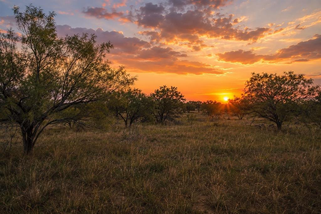 LAND...They aren't making any more of it!!! 13.3 acres in Eula ISD with water, electric, new fencing, and plenty of trees, This property is perfect and ready for your future homesite, ag setup, hunting spot, or weekend escape. Located in Callahan County with easy access to Abilene, local colleges, data centers, and all the new growth and development happening nearby. A great mix of country space and convenience!