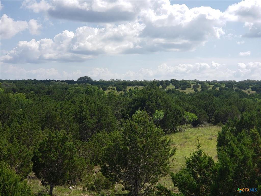 Just West of Lampasas TX, ~500 ac of Unrestricted Ranch Land for sale. Paved CR 1255 Frontage, CORIX water on CR 1255 and PEC on Property. Pitt Creek runs West to East on the North end of this Parcel of Scenic Rolling ranch. Trees: Oak, Pecan, White Oak, Water Elm and all native trees and underbrush for hunting or recreational land. Great native grasses for grazing; and High-topped hills for spectacular views to the North and East. Whitetail deer, Turkey and Hogs are all over this Ranch. More of the Pitt Creek Ranch is available.
