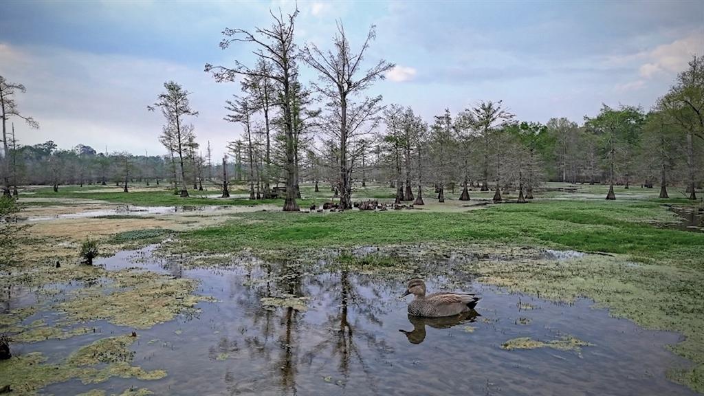 The 712 acres sit within a primary migratory flyway, less than a mile south of the Sabine River. Approximately 250 acres consist of swamps and flooded timber along Hoggs Bayou and various creeks. The remaining acreage is a healthy mix of hardwoods and pine timber. The timber holds harvest value that could generate substantial revenue for a new owner. The flooded timber along Hoggs Bayou and the associated creek drainages make up roughly 250 acres of wetland habitat. The property sits less than a mile south of the Sabine River, which drives consistent waterfowl activity through the area. The bayou and flooded wetland areas also offer good fishing opportunities. The lodge is a two-story, 6-bedroom, 2-bath structure with cedar walls and a metal roof, capable of sleeping up to 19 guests. It includes a great room with a rock fireplace, indoor and covered outdoor eating areas, and an attached kitchen with a cook's quarters separated from the main sleeping areas. A commercial-grade propane stove handles large meals for hunting parties. The property has buried electrical service with free utility service through a unique, transferable arrangement. A private water well with a pump house supplies water to the lodge. The lodge is fully furnished and ready to use. On the back side of the lodge, there is a covered game processing area with a large lighted skinning room and a walk-in cooler. Other improvements include an implement shed, dog kennels, and two 20-foot storage containers. The property also has a saltwater injection well that generates annual income. The ranch has multiple quality deer blind and feeder setups already in place, along with five cleared food plot areas. Large duck blinds are positioned throughout the flooded timber and are accessible by both shore and boat. All hunting setups are turnkey and ready for the season.
