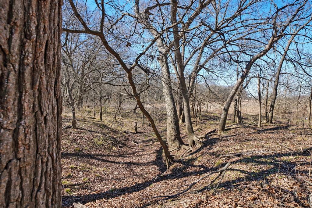 ABST 143 TR Lot 8A & *B JT Caddell - Land