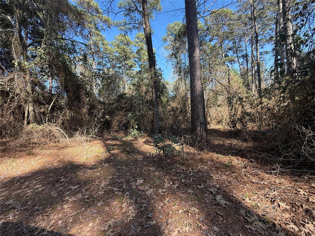 4D Country Estates - Land