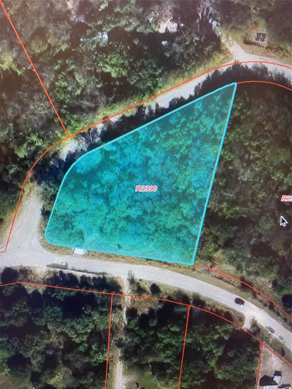 Unimproved .76 acre corner lot......No HOA.......NO city taxes......Septic needed but water and electric available.......minimal deed restrictions......Use your imagination and build your own house, 2nd home, vacation home, rental, Airbnb, or bring your RV and this property is waiting for you........Seller has multiple properties for sale in the community if you need more.....Motivated Seller!!