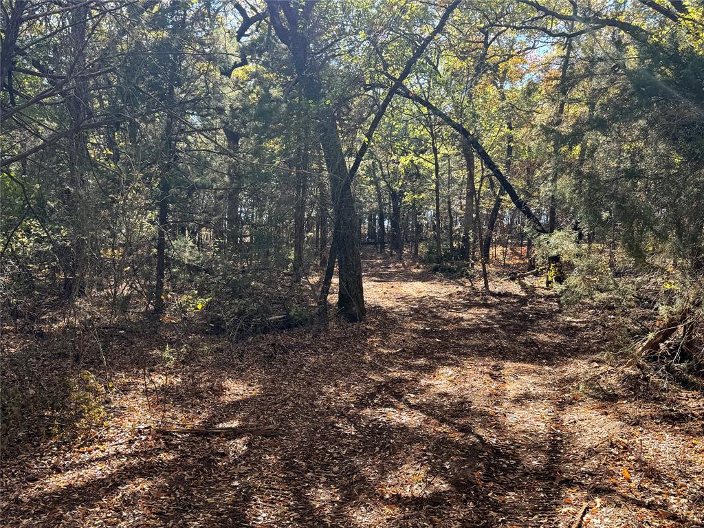 11 acre tract with TREES TREES TREES! Build your forever home nestled in the oaks in this new 10 plus acre private road community.  Bring your own custom home builder and make this gorgeous property your forever home. Co op water and electric at the road. Valley View school district! Lot is secluded at the end of the cul de sac for ultimate privacy.