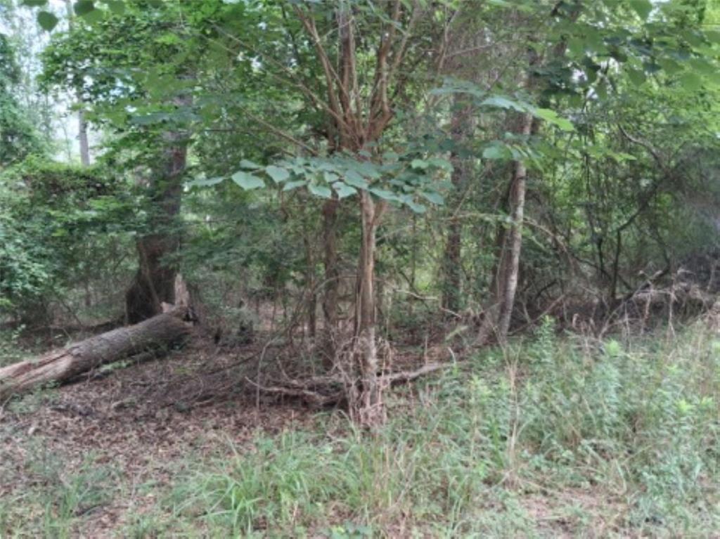 Welcome to the lake community of Callender Lake on the beautiful 365 acre spring fed Callender Lake.   These four lots are in a very nice quiet area of the community but not too far from the water and the swim area and fishing pier.  The four lots will need some clearing for you to build your home.  The four lots total almost an acre with 0.88 acres.  When you build a home in this community they must be at least 960 square feet.  RV's can be parked on your lots once you have built your home but if you come in to camp at your lots, you are only allowed to have the camper or RV there for 14 days a month and it must not be left there longer than the 14 days.  Mobile homes are not allowed in this community at all.  Water and Electricity are at the street and a septic tank is required if you build a home   The community has a boat ramp, fishing pier, children's park, and a lake swim area.  The lake also has great boating, fishing, and swimming for your pleasure.  These lots are priced to sell since you are getting four for $28000 that makes them $7000 per lot which is a great deal.  Build on one or two and sell the others or keep all and have a huge private yard.  Contact your agent today and come see this great property today.  The Lake Life is just a short time away for you to enjoy.