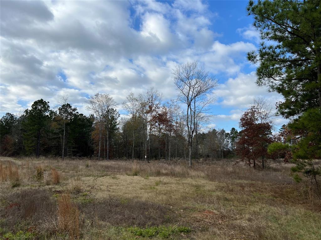 A little over 1 acre in restricted, site built, development.  Land is partially cleared.