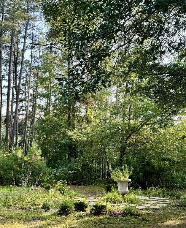 Clear Lakes, Zone 1 - Residential