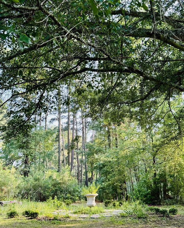 Clear Lakes, Zone 1 - Residential