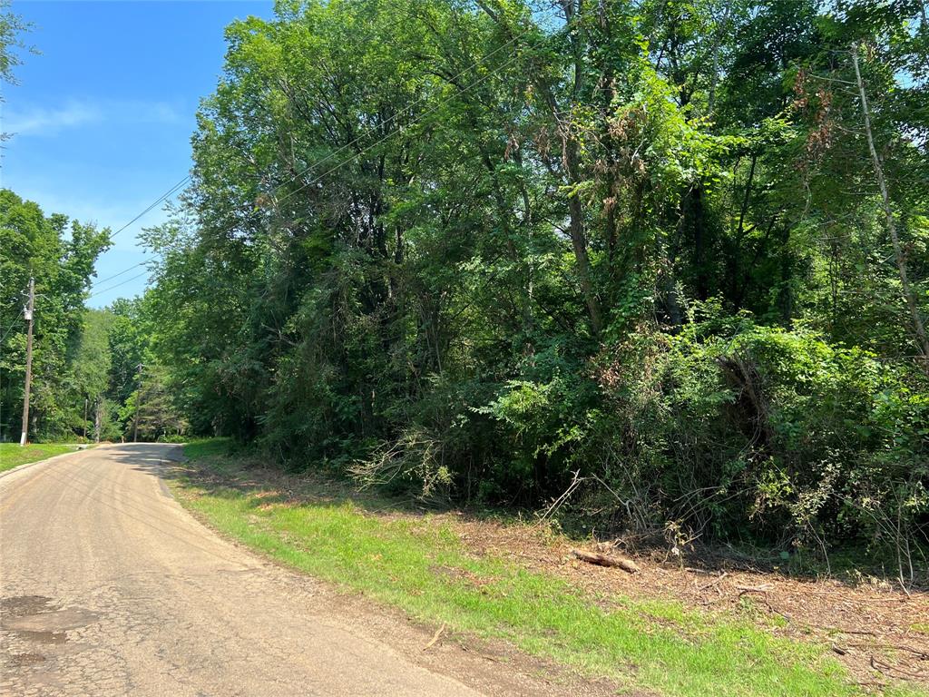Come build or place your home on this perfect sized lot in Thunderbird Point! This lake community includes a community pool, parks, and boat ramp.  Located just down the road from Lake Bob Sandlin, you can enjoy the lake life at a fraction of the cost! See it today!!