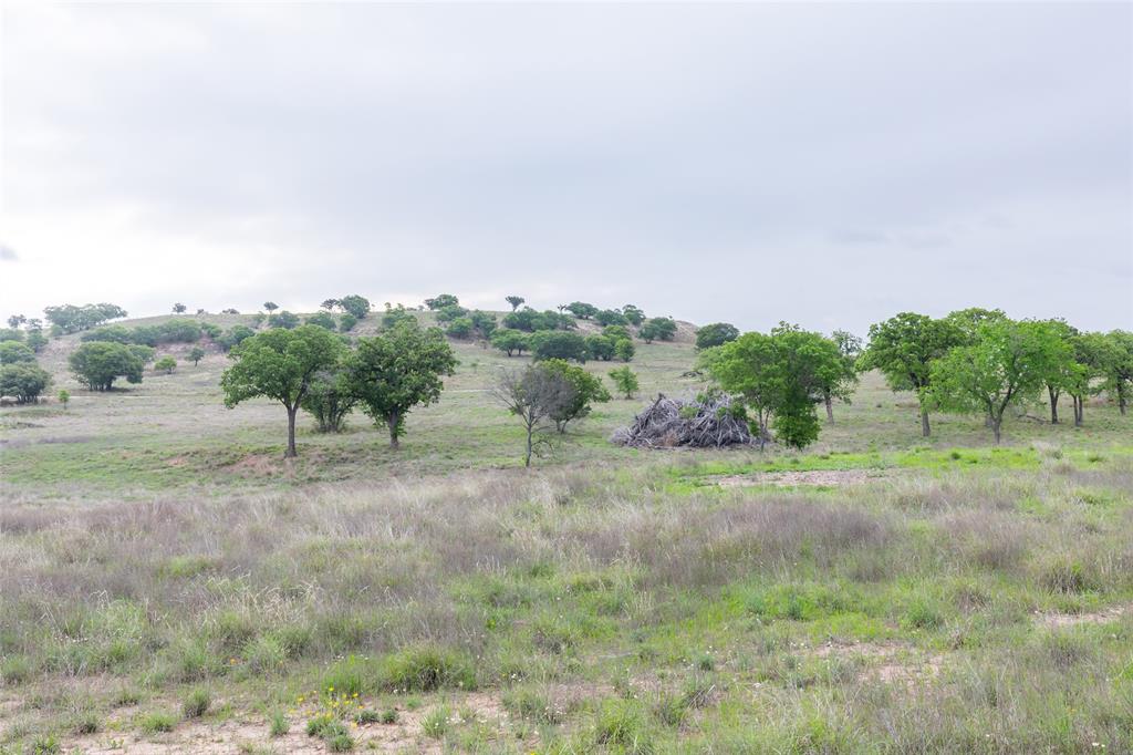 * - Land