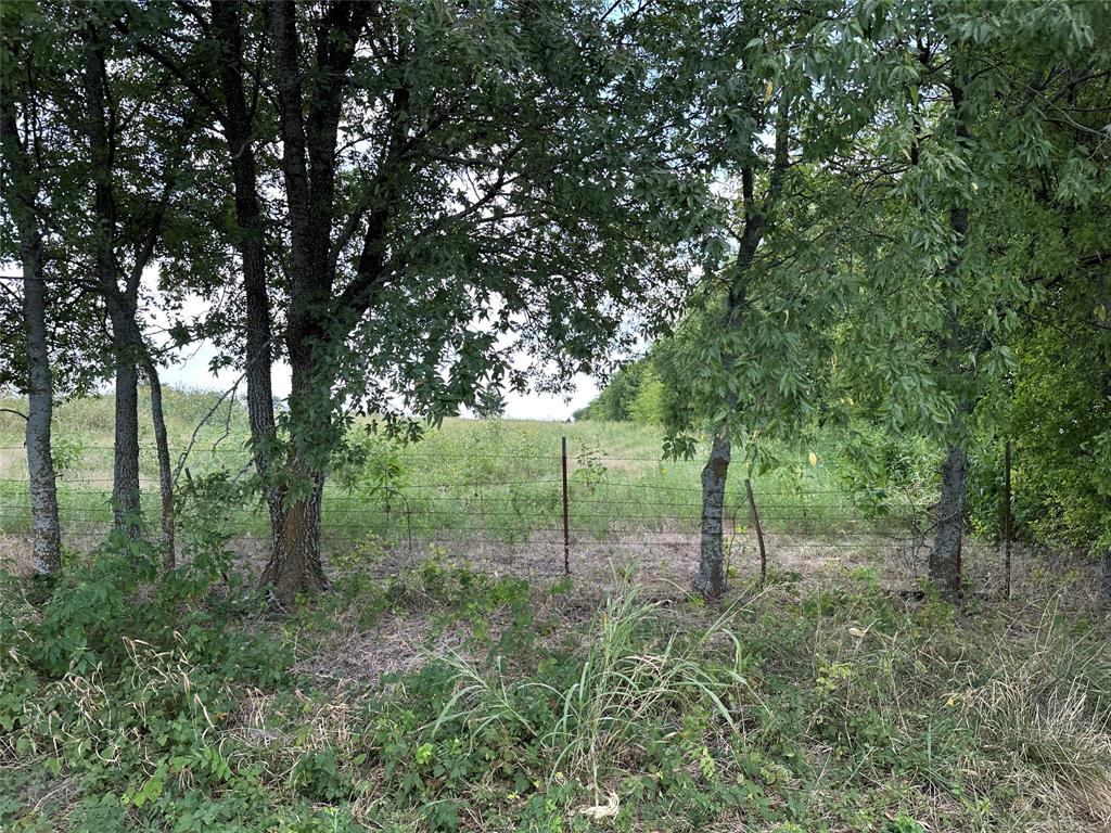 Escape to the tranquil countryside of Whitewright!
Conveniently located just a short drive from both McKinney and Sherman, this beautiful property offers the perfect balance of rural serenity and city accessibility. Situated at the intersection of Rutledge Road and Eastline Road, the land is ready for your forever home.

With water and electricity available at the road, this property is primed for development. Choose from eleven available lots, ranging in size from just over one acre up to five acres, giving you the flexibility to create the lifestyle you’ve always envisioned.

Don’t miss this opportunity to secure your piece of the countryside, schedule your showing today!
