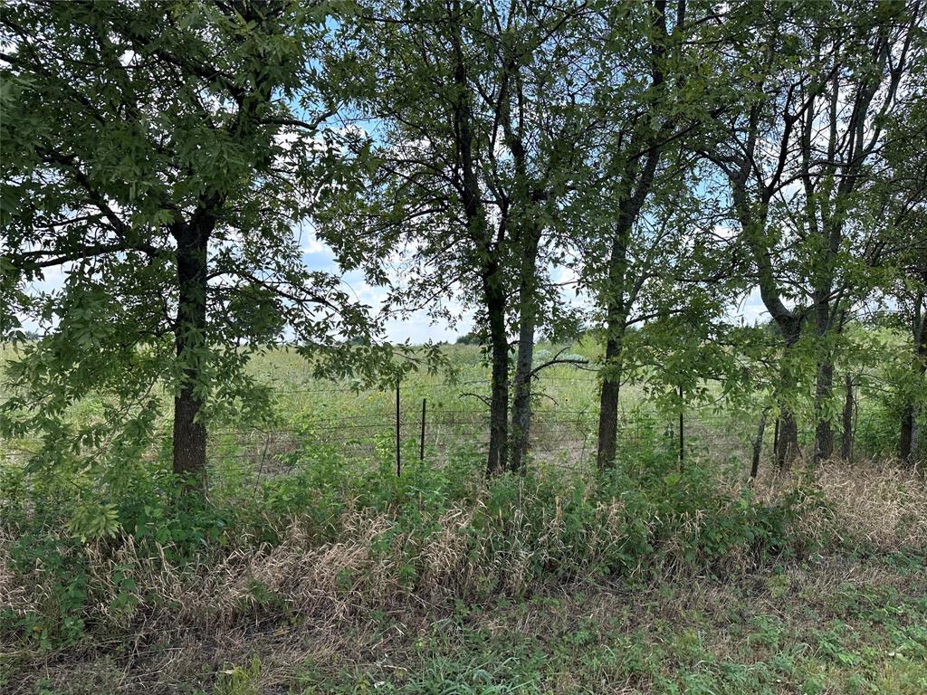 Whitewright Ranch Estates - Land