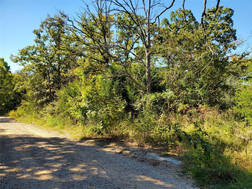 This property is 0.2483 acre and located North of Honey Grove off of Hwy 100.  This property would be great for a Home, Weekend Getaway Place, Campsite, or an Investment for the Future.  There is a Water Meter already installed on the property.  Water is from the Bois d'Arc Water Supply.  There is an existing Septic System from a previously removed Mobile Home that was on the property.  Electricity is available at the road.  The North & South property corners are marked with visible tape.  There is an existing circle driveway on the property in which you can see the 2 culverts at the entrances.  The property is currently overgrown with brush, but you can see that there are large Oak Trees that adorn the property.  This property is located just minutes from Lake Crockett, Coffee Mill Lake, Bois d'Arc Lake, Ralph Hall Lake, and the Caddo National Grasslands hunting area.