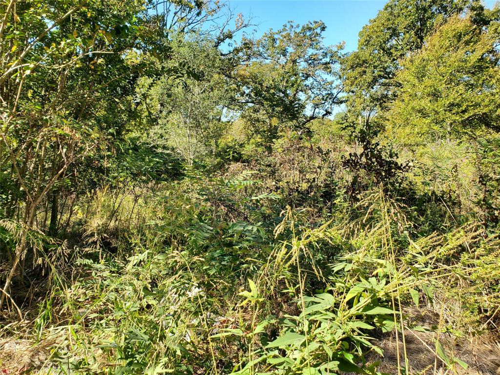 Lake Crockett Addn - Land