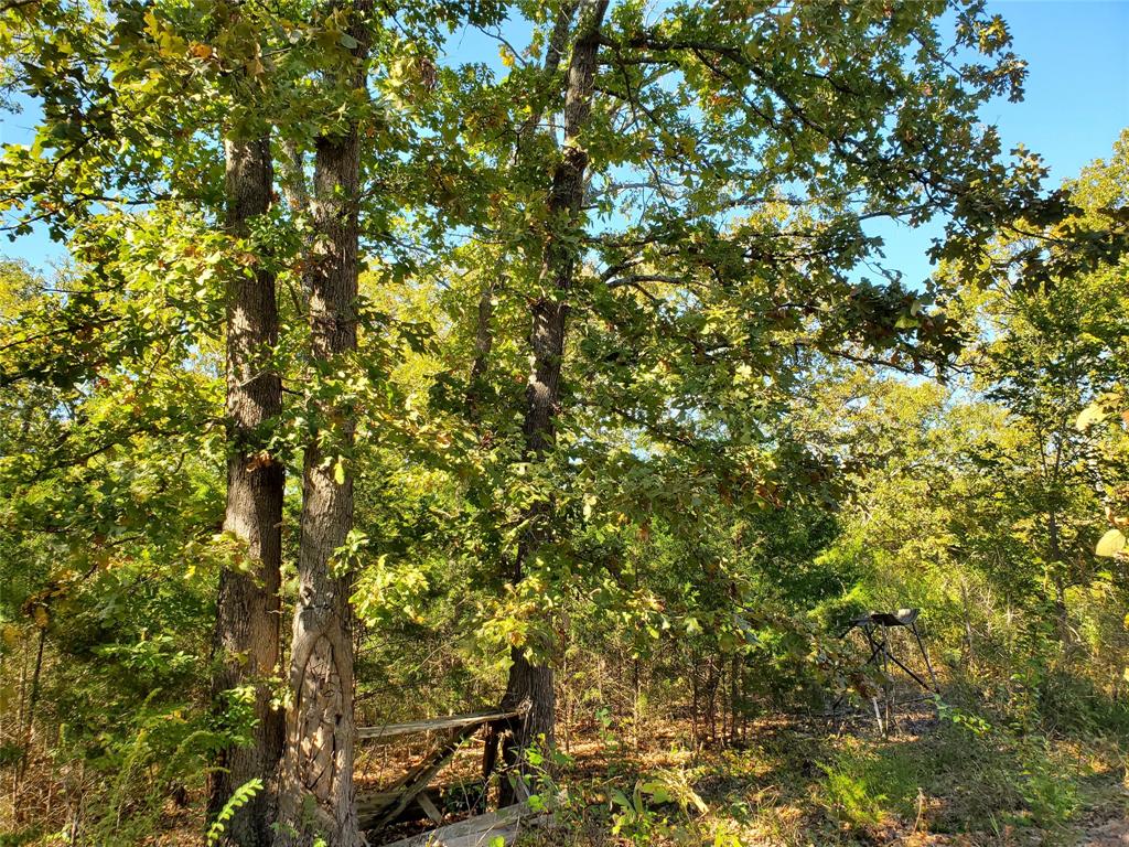 Lake Crockett Addn - Land