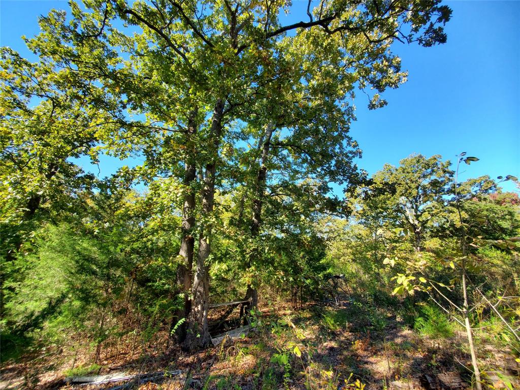 Lake Crockett Addn - Land