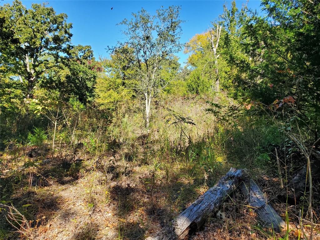 Lake Crockett Addn - Land