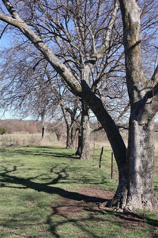 Oak Creek Ranch - Land