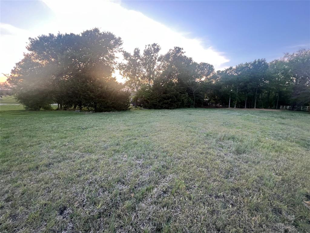 Bluebonnet Ridge - Land
