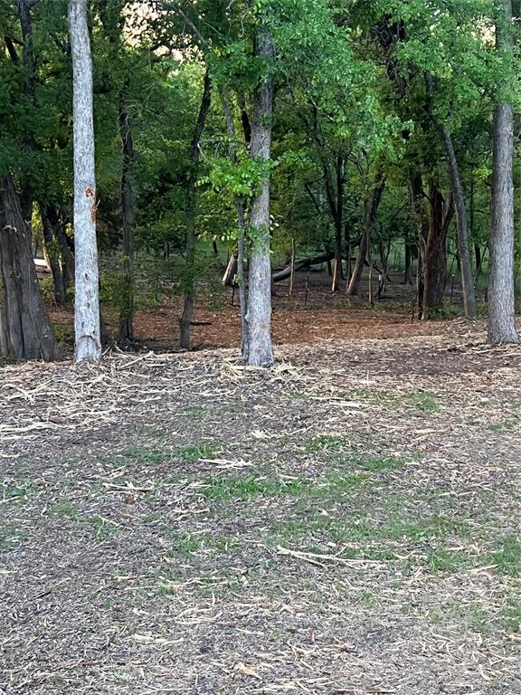 Bluebonnet Ridge - Land
