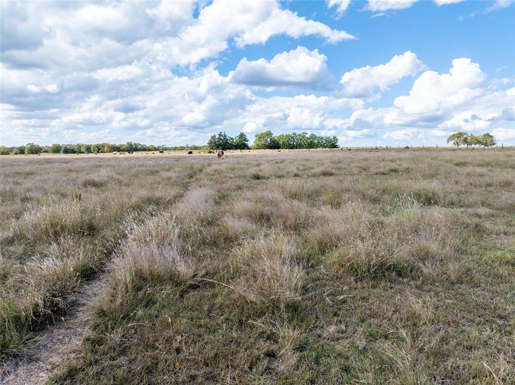 - - Land