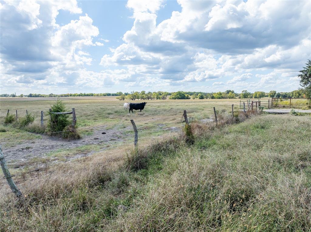 - - Land