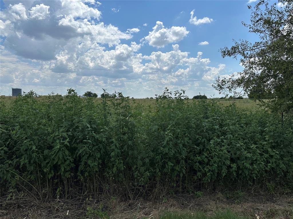 Whitewright Ranch Estates - Land