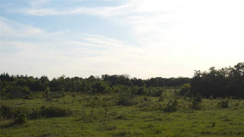 The Preserve at Buchanan Place Phase 1 - Land