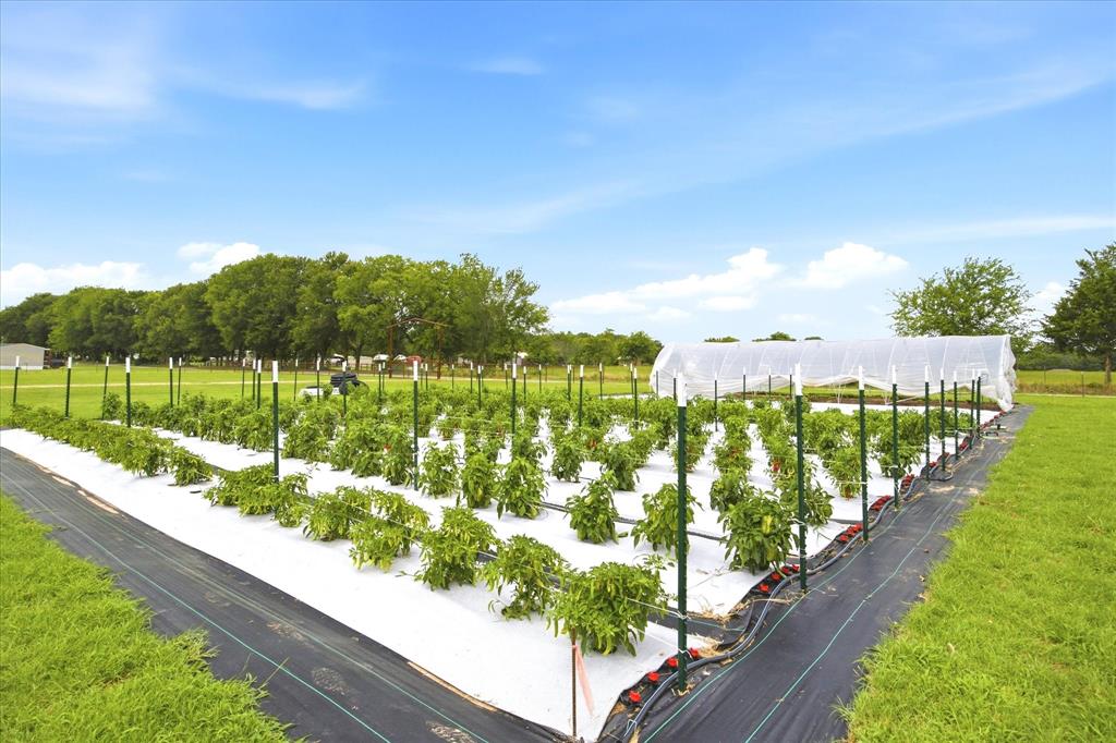 Turnkey farm and homestead with all the hard work already done. Emory Market Gardens is a fully built-out specialty agricultural operation in Emory, Rains County — structured around premium gourmet mushroom cultivation, seasonal produce, Harvest Box subscriptions, grow kits, and workshops. The infrastructure is in place and the business is early-stage, making this the right moment for a motivated owner-operator, agri-business investor, or DFW lifestyle buyer to step in and scale. Two Homes – 2,788 SF of Combined Living Space including a 1,688 SF Main Residence (2018) and a 1,100 SF 2nd Home (2021) — both residences included in the total — provide comfortable accommodations for owner-operators or multi-generational living. Ag Infrastructure. 2,400 SF Mushroom Building (2018), 3,800 SF AG Produce Building under cover (2025), 3-Caterpillar Tunnels, 3-Covered Greenhouses, and 3 Acres of irrigated row crops. The Land. 7.695 surveyed acres, fully perimeter-fenced, dual road frontage on FM 515 and CR 3332, ag tax valuation in place, no floodplain per FEMA, and hemp cultivation potential under Texas TDA. Financials available under NDA. Brochure and Video available.