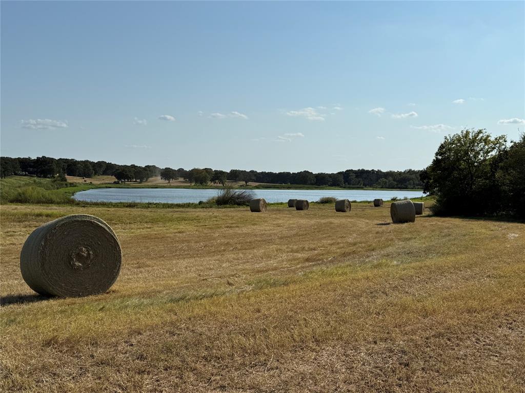 A0145 - Farm