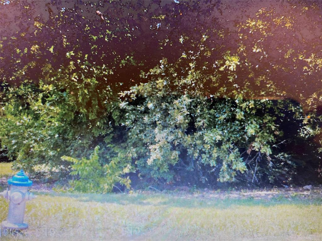 Embry Jesse - Land