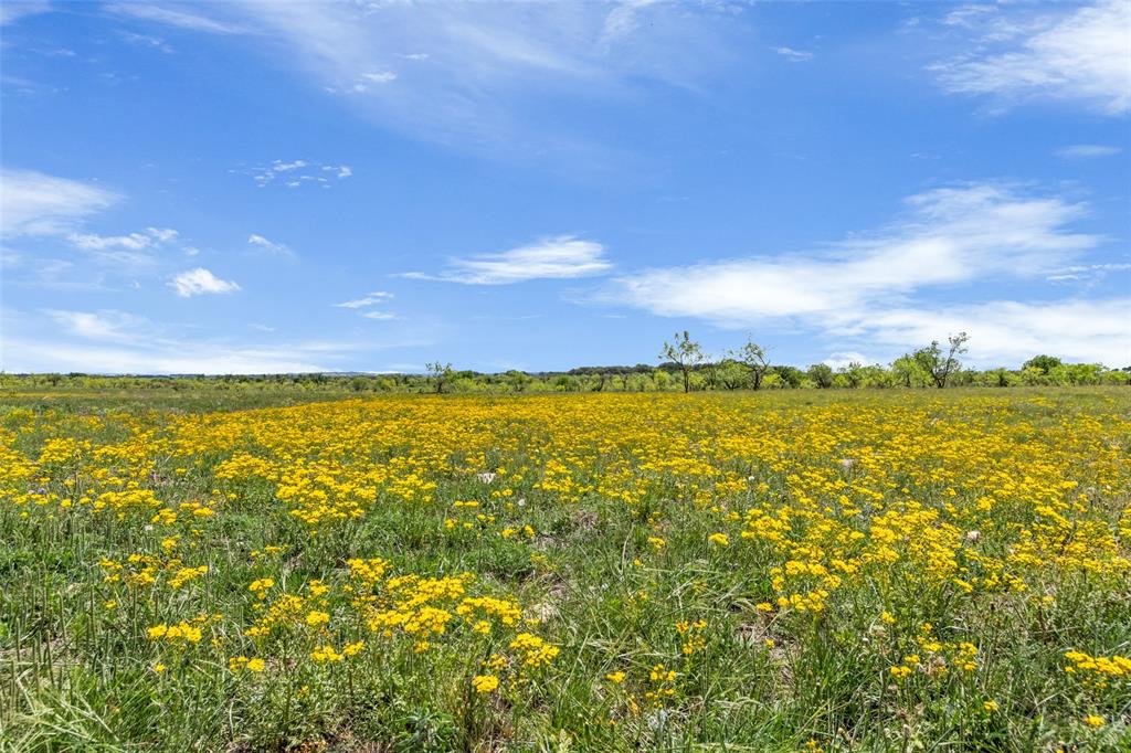 NA - Farm