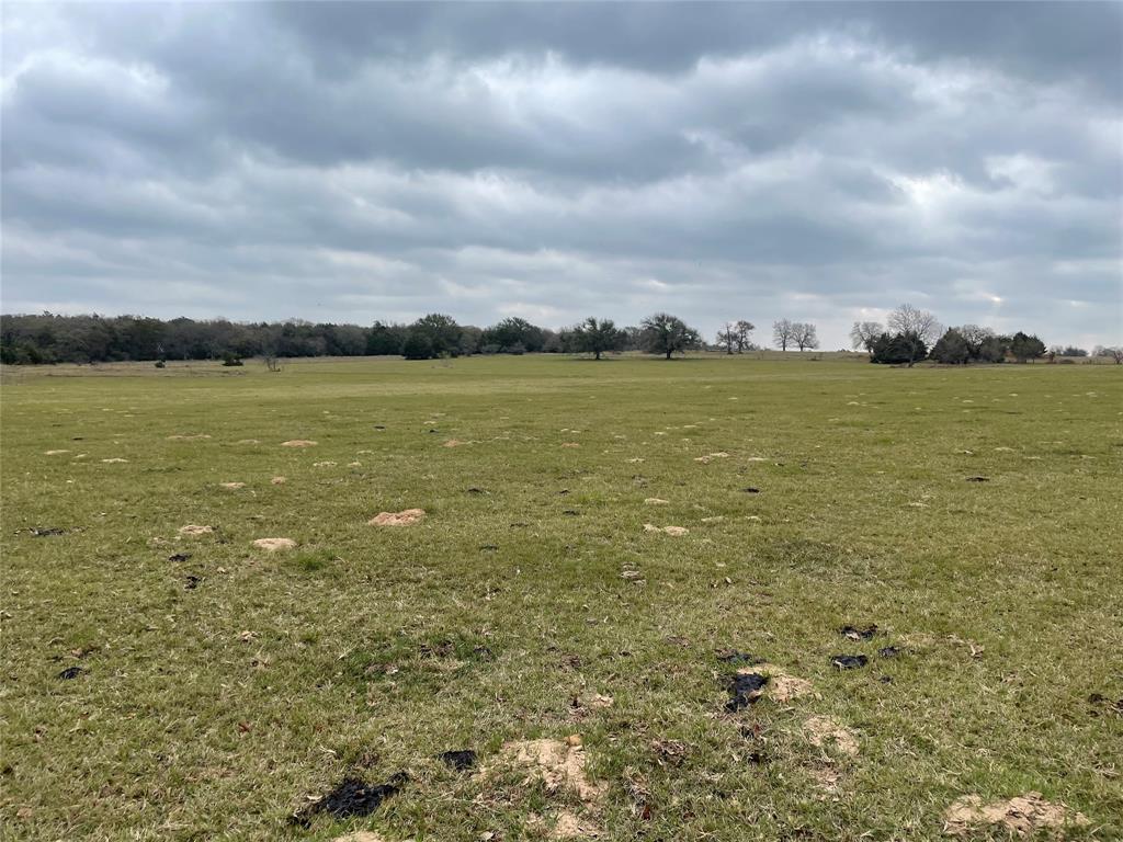 A567 Chs Welch, ACRES 50 - Land