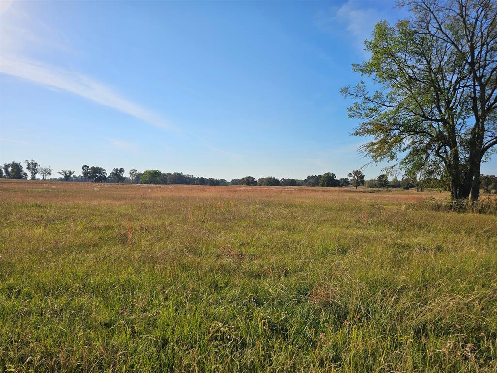 Unlock the door to countless opportunities in this exceptional tract on CR 3250, a fantastic vacant property spanning approximately 30 plus acres, including a gorgeous pond. Located just 6 miles from I-30, you have the opportunity for country living, just minutes from all the amenities of town. This beautiful property boasts not only vast open spaces but also unrestricted usage, making it an excellent choice fora variety of endeavors including farming, homesteading, or hunting. Its prime location couples naturally with the potential for significant appreciation in property value over time. Invest in your future, get back to the essence of country living, and rekindle your connection with nature. List price is OF price.