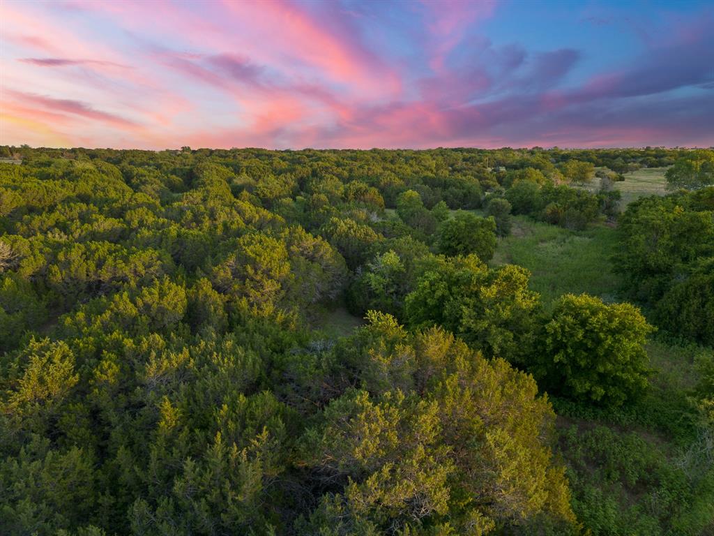 Start building your dream home TODAY on this gorgeous 30 acre property right outside of China Spring, TX.  This Bosque County gem is loaded with wildlife, great tree cover and endless recreational opportunities.  There is a water meter in place that’s ready for you to bring your building plans and break ground immediately.   You will love the secluded location of this property a quarter of a mile off of Wortham Bend, that’s just a quick jump to all that Waco, Clifton and China Spring has to offer.