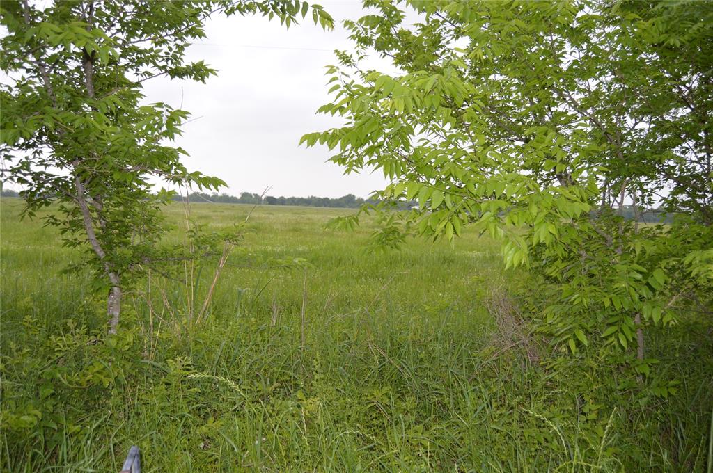 Eagles Path - Land