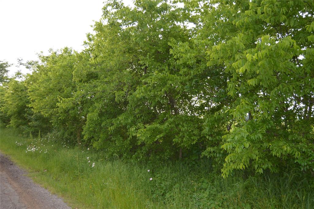 Eagles Path - Land