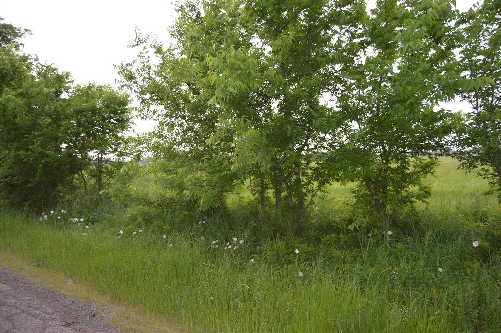 Eagles Path - Land