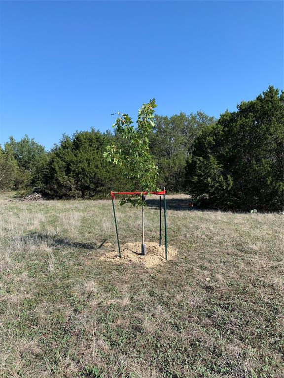 The Preserve On Ash - Land